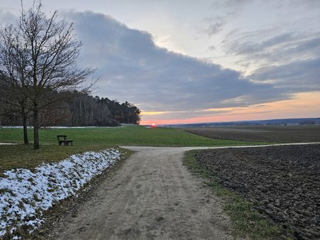 20230228_175238.jpg