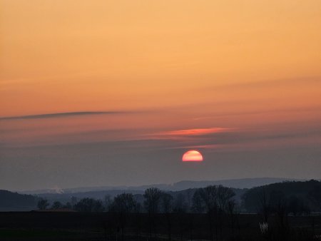 20230301_174943.jpg