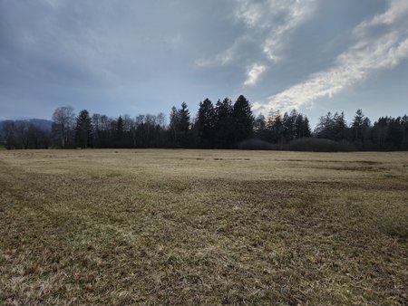 20230305_153549.jpg