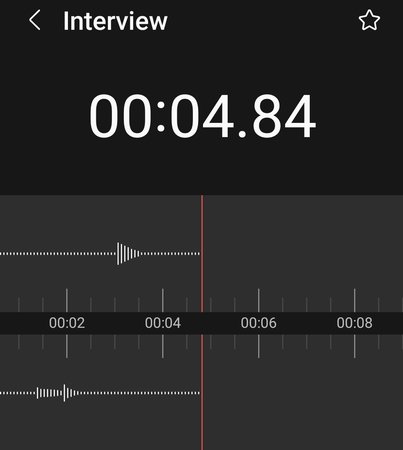 Screenshot_20230307_135857_Voice Recorder.jpg
