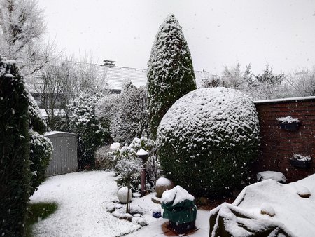 20230308_094457.JPG