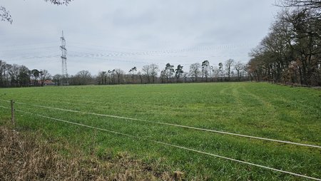 20230308_155022.jpg
