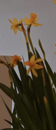 Screenshot_20230309-151427.png