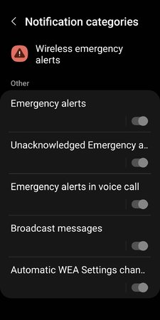 Screenshot_20230309_234001_Settings.jpg