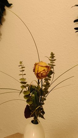 IMG20230310195704.jpg