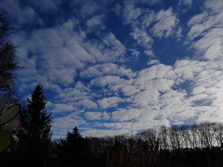 IMG_20230311_083113.jpg