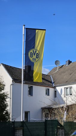 20230311_151029.jpg