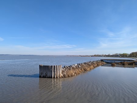 PXL_20230312_070707016.jpg