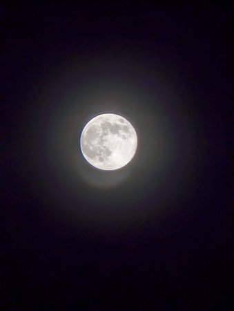 PXL_20230106_221838313.NIGHT~2.jpg