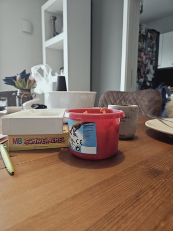 20230312_155430.jpg