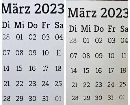 20230313_122811.jpg