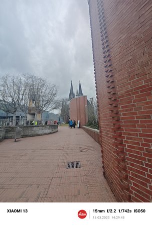 IMG_20230313_142948.jpg