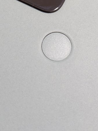 P_20230314_142107.jpg