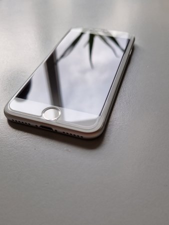 20230314_134842.jpg