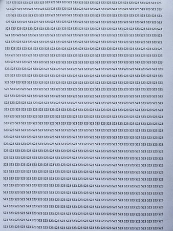 20230313_110451.jpg