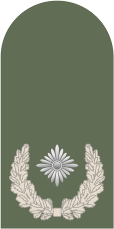 Dienstgrad_Bundesweh.png