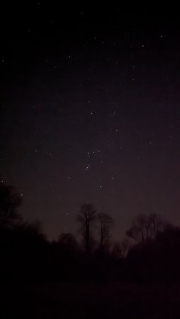 PXL_20230315_194312555.NIGHT.jpg