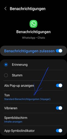 Screenshot_20230317_113857_Settings.jpg