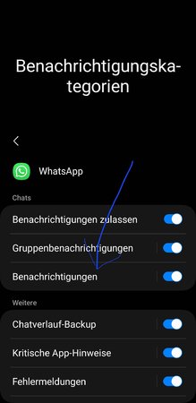 Screenshot_20230317_113840_Settings.jpg