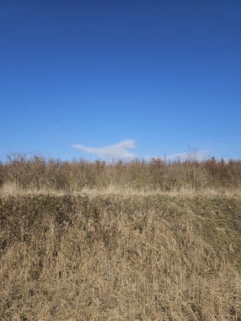 20230318_145526.jpg