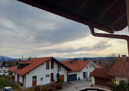 20230318_161320.jpg