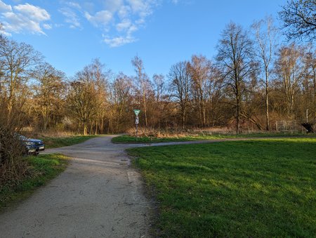 PXL_20230318_163039994.jpg