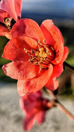 IMG_20230305_190758_540.jpg