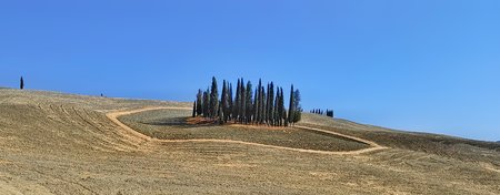 IMG_20220725_173315-01.jpeg
