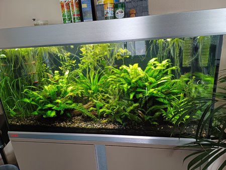 20230319_084133.jpg