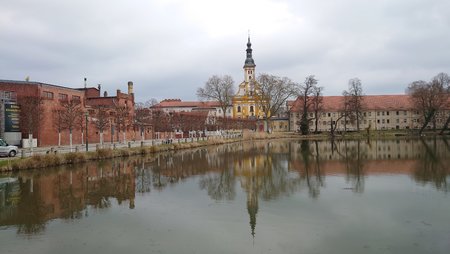 20230321_121608.JPG 20230321_121608.JPG