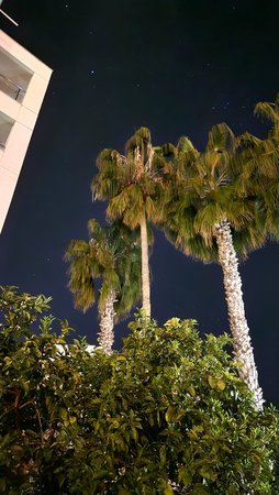 20230320_223746.jpg