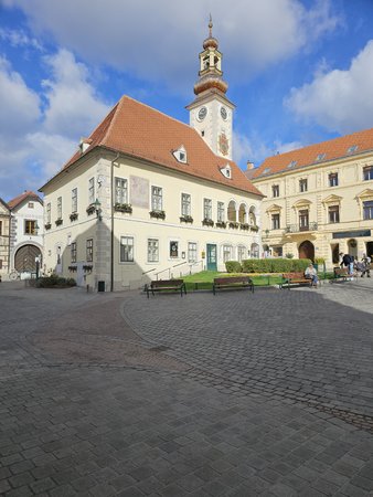 20230326_094826.jpg