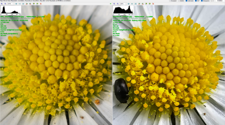 Screenshot 2023-03-28 175315.png