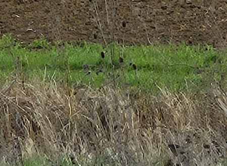 20230326_141912.jpg