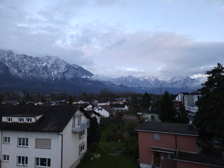 20230327_193658.jpeg