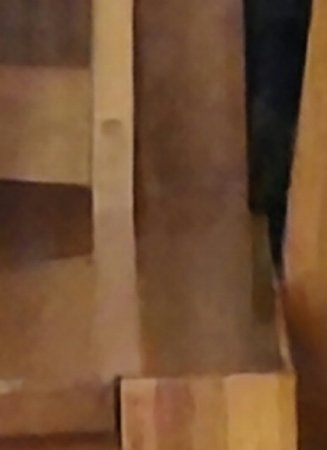 20230329_195653.jpg