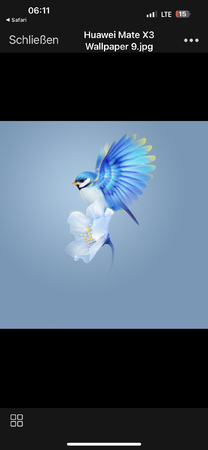 IMG_9414.png