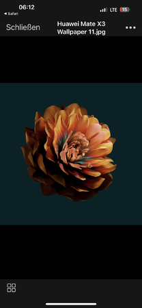 IMG_9417.png