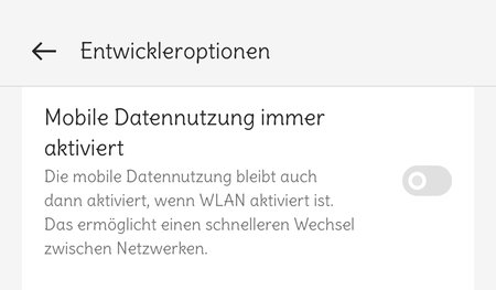 Mobile Datennutzung immer aktiviert.jpg