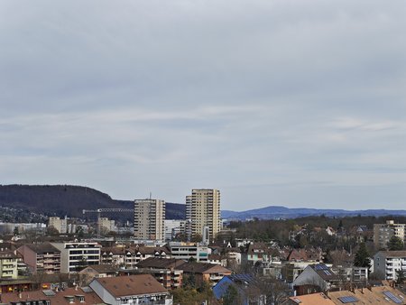 IMG_20230318_144740.jpg