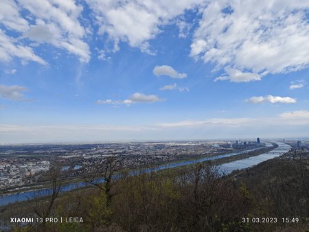 IMG_20230331_154934.jpg