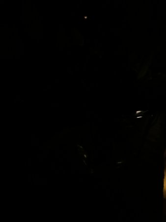 IMG_9429.jpeg