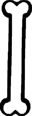 20230402-Knochen-01.png