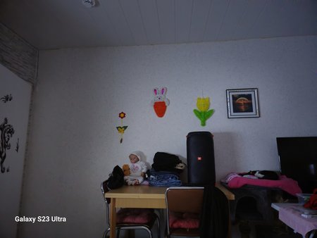 50mp.jpg