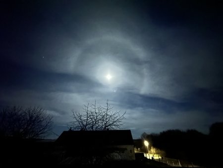 IMG_1028.jpg