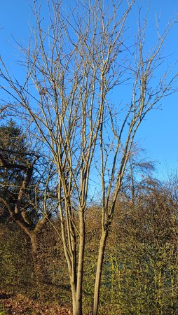 20230405_081219.jpg