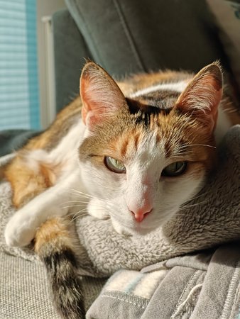 IMG20230405170621.jpg