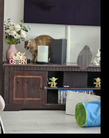 1680852995615.png 1680852995615.png