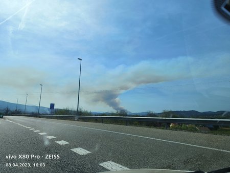IMG_20230408_160352.jpg