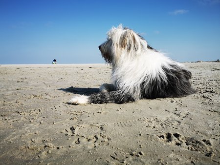 IMG_20230408_152903.jpg